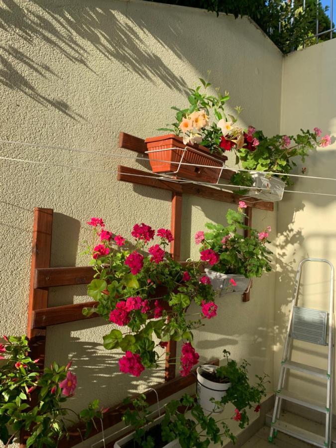 Sea Sunshine Apartment Обзор Екстериор снимка